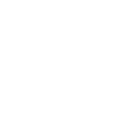 Ae-1