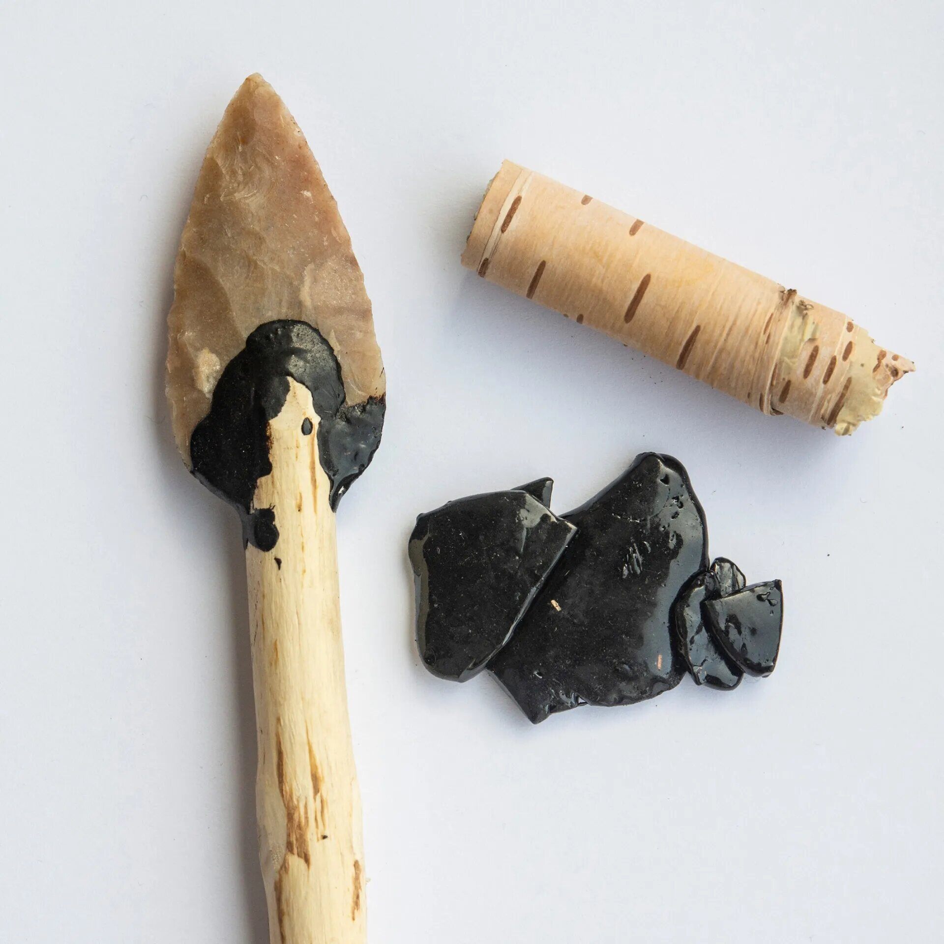 Early glue used for prehistoric tools