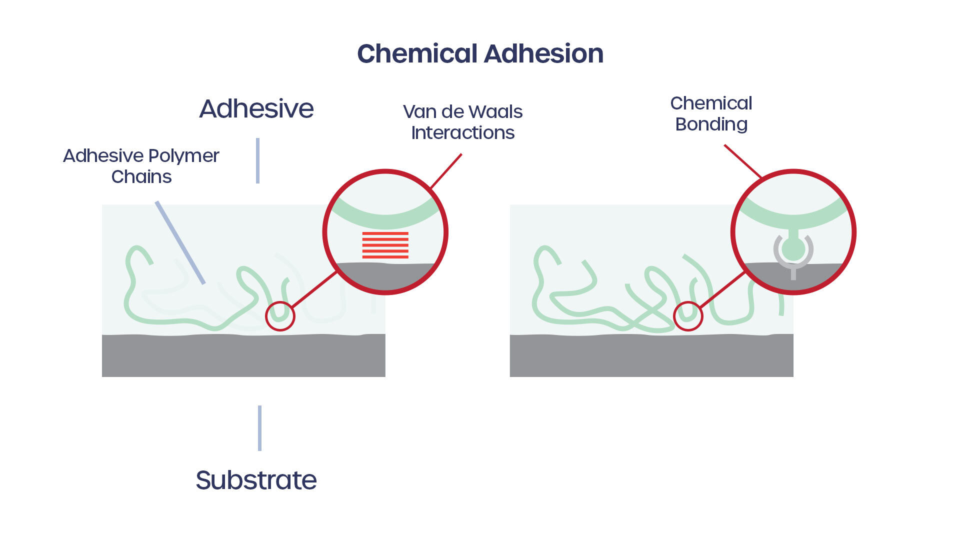 Chemical adhesion is the strongest form of adhesion