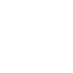 Pyrok-Icon