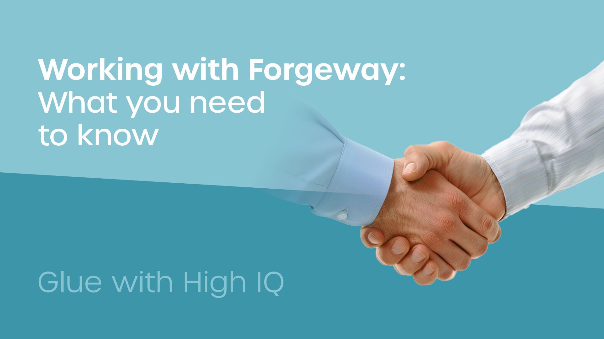 Working with Forgeway